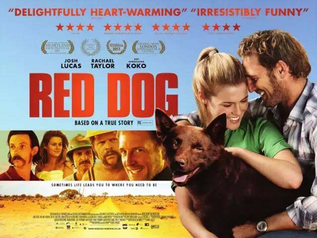 有没有好看的狗狗电影_狗好看的电影有哪些_狗的电影有哪些好看