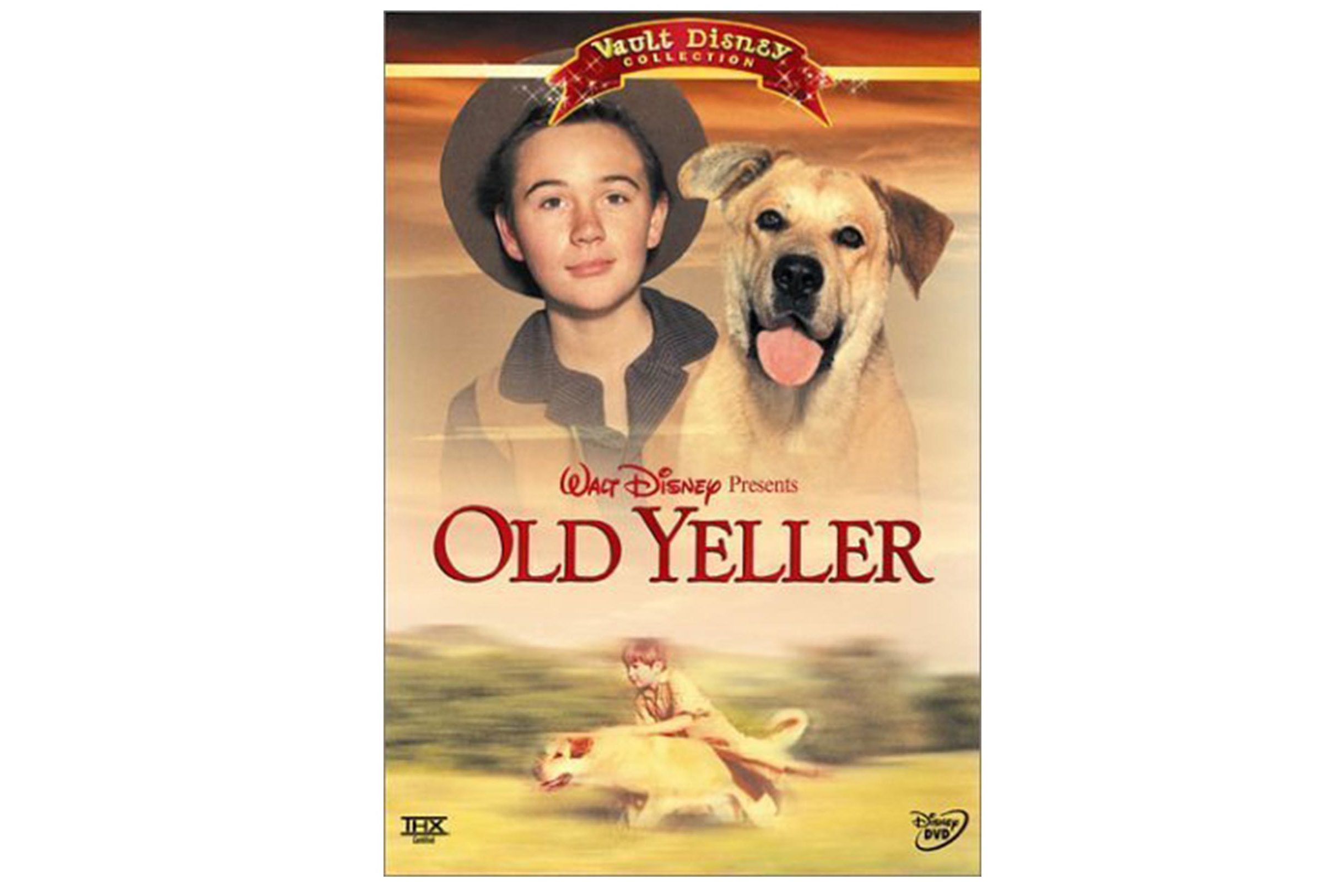 好看的狗的电影_最好看的狗电影有哪些_狗的电影有哪些好看