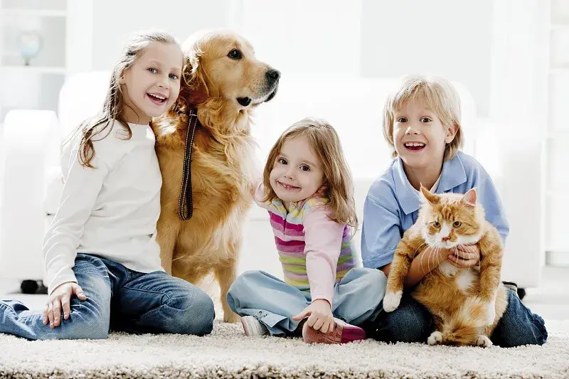 狗和猫可以生孩子吗_猫狗生孩子需要剪脐带吗_猫狗生孩子可以打疫苗吗