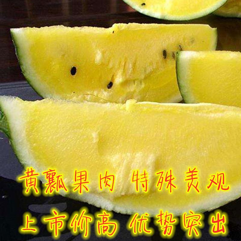 黄瓤西瓜的名字_黄瓤西瓜叫什么_西瓜瓤是黄色的是什么瓜