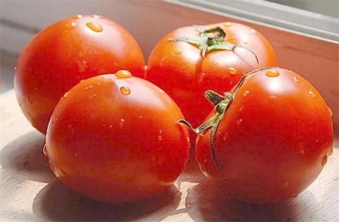 西红柿冷藏还是常温保存_西红柿冷藏保存多久_西红柿冷藏常温保存能放多久