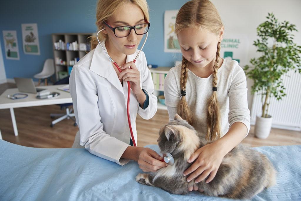 小猫打疫苗需要打几针多少钱_猫打疫苗的钱是一次性给吗_打小猫疫苗针钱需要多少