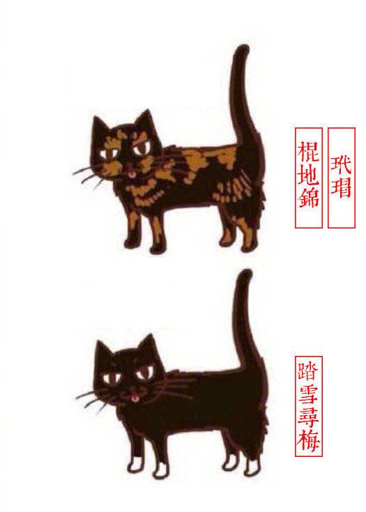黑白猫品种_黑白猫是什么品种_黑白猫品种是什么意思