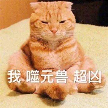 小橘猫是什么猫_橘猫是不是中华田园猫_橘猫多少钱