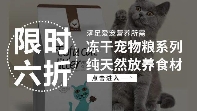 猫可以吃豆腐吗_宠物猫能吃豆腐吗_猫咪能吃豆腐猫砂吗