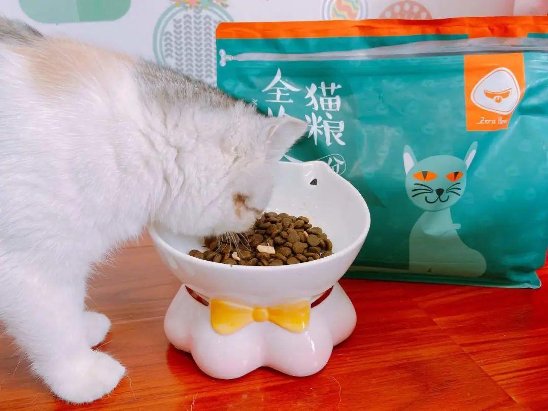 宠物猫能吃豆腐吗_猫咪能吃豆腐猫砂吗_猫可以吃豆腐吗