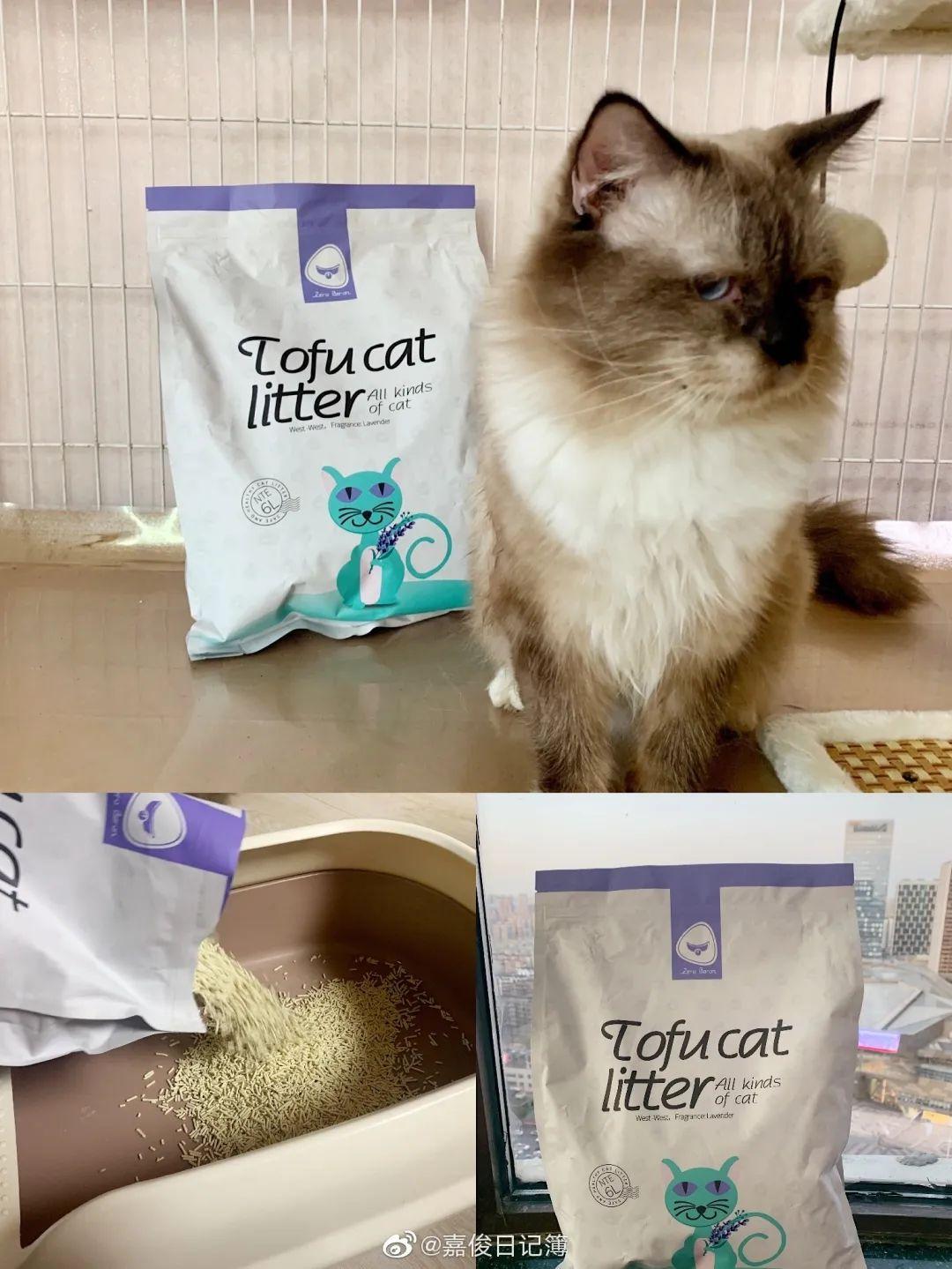 宠物猫能吃豆腐吗_猫可以吃豆腐吗_猫咪能吃豆腐猫砂吗